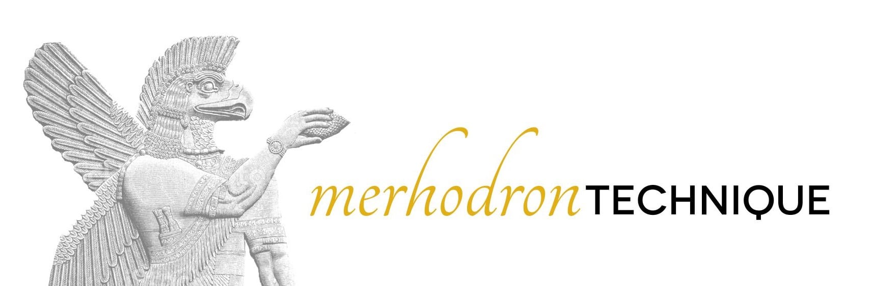 Merhodron Expert